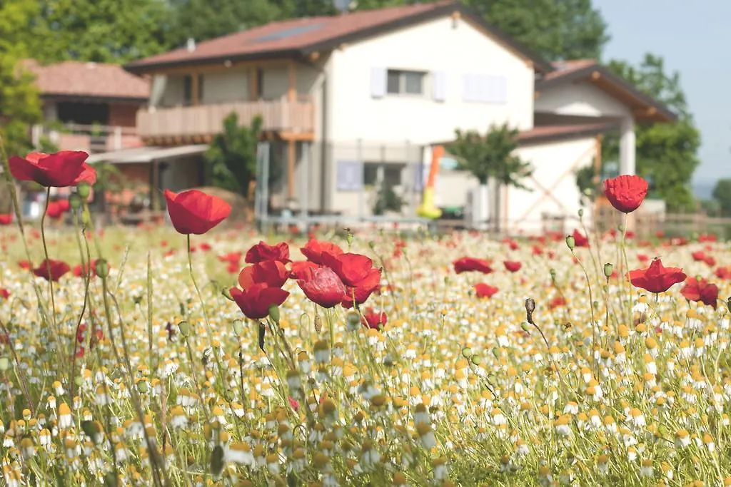Comeback Stezzano Farm stay