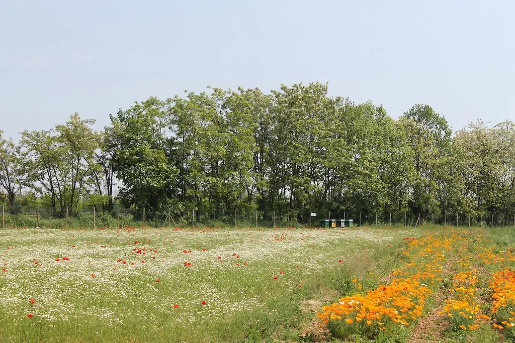 Comeback Stezzano Agroturismo